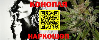 крисы Краснознаменск