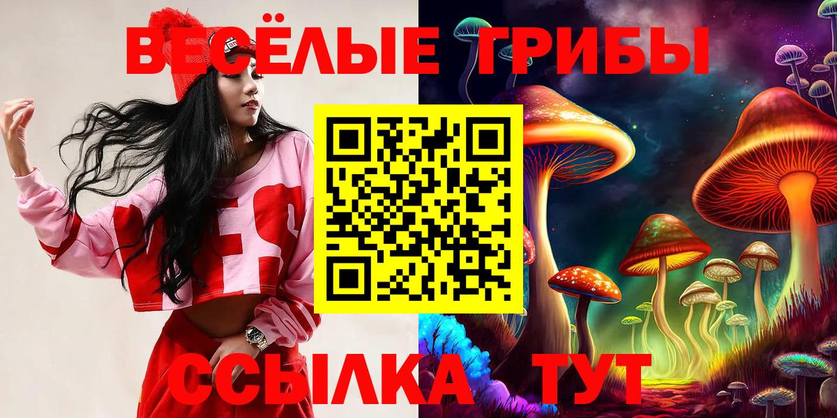 Дзержинский  Галлюциногенные грибы прущие грибы  наркошоп  Вход с VPN 